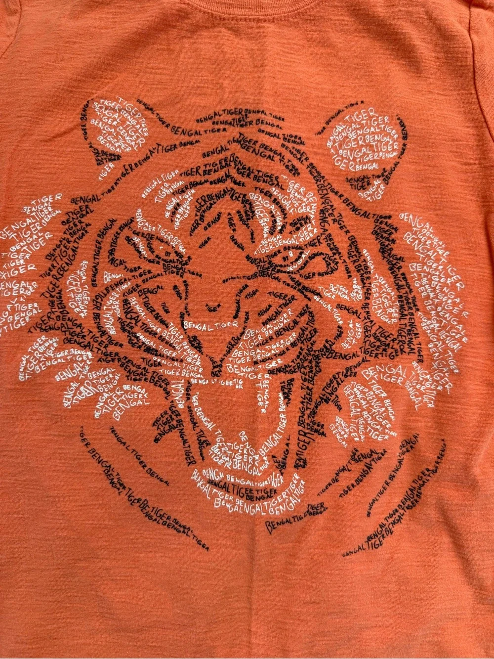 Kids Short Sleeve Graphic Tee - Blue Bear Sunset and Tiger